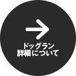 secoud_main_btn